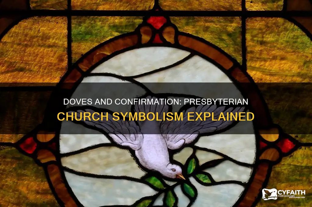 is a dove associated with confirmation in presbyterian church