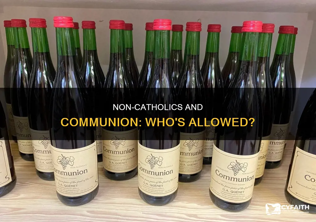 is a non catholic allowed to take communion