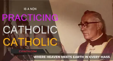 The Non-Practicing Catholic: Still Catholic?