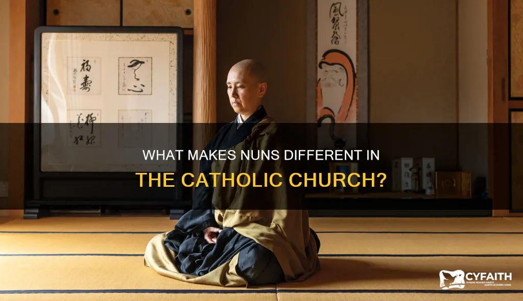 is a nun just another catholic