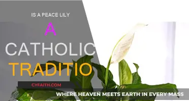 Peace Lily: Catholic Tradition Explained