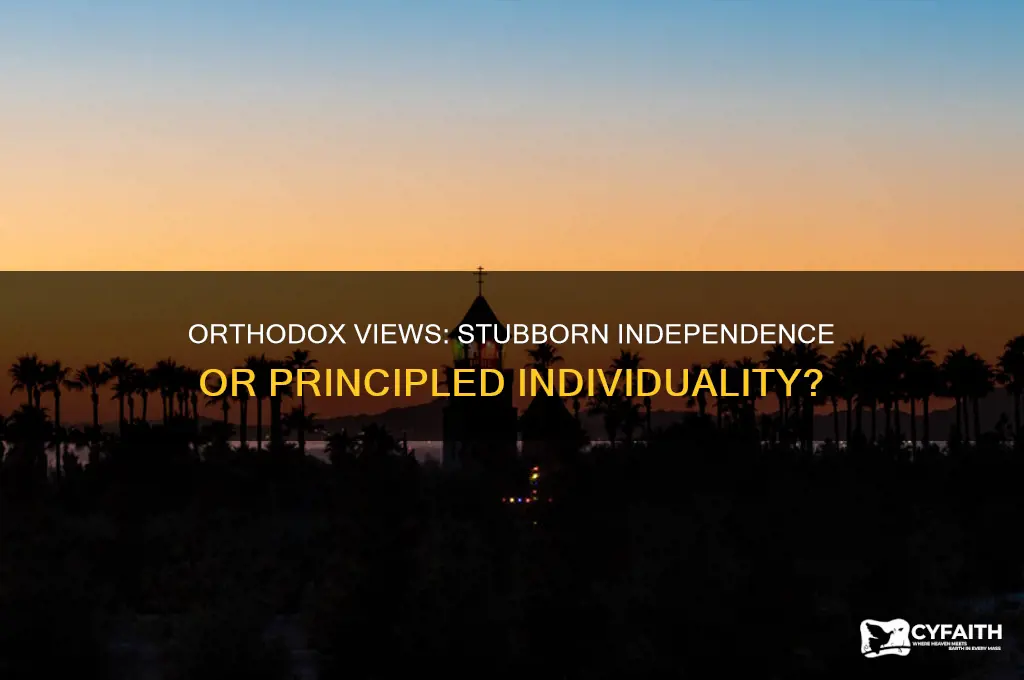 is a person with orthodox views stubbornly independent