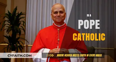 Is a Pope Catholic? Exploring the Faith of the Pontiff