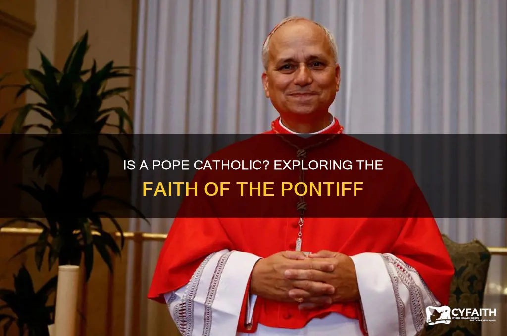 is a pope catholic