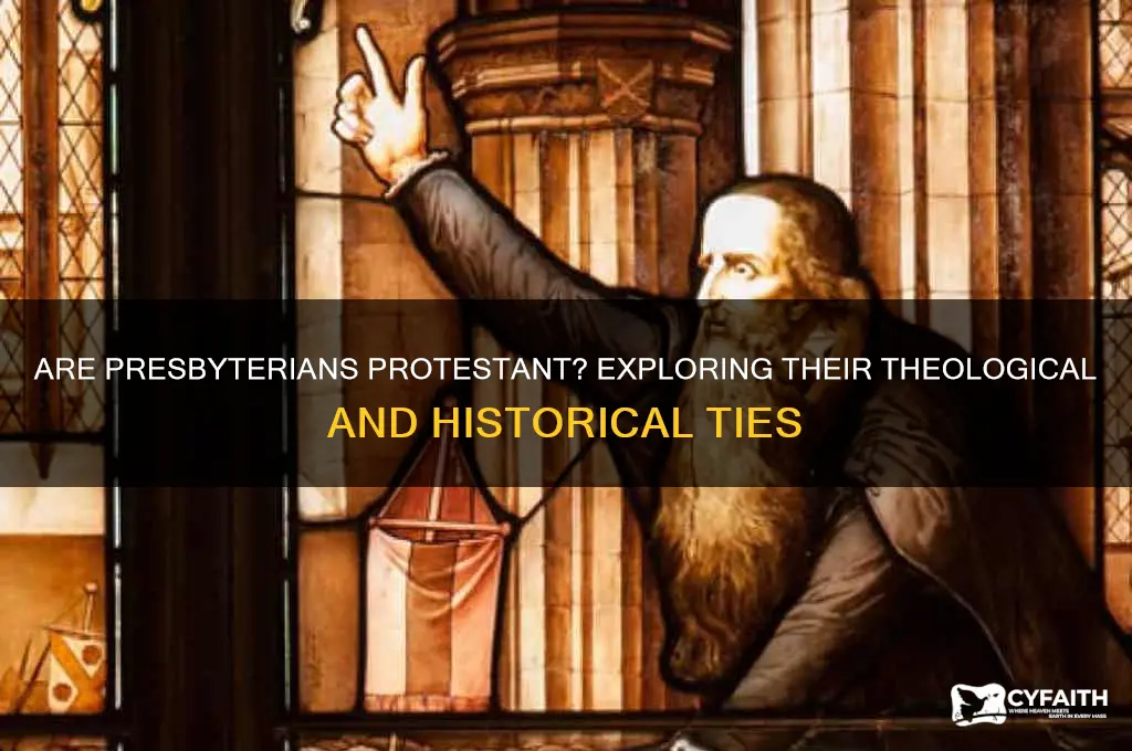 is a presbyterian a protestant