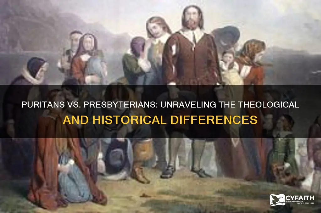 is a puritan a presbyterian