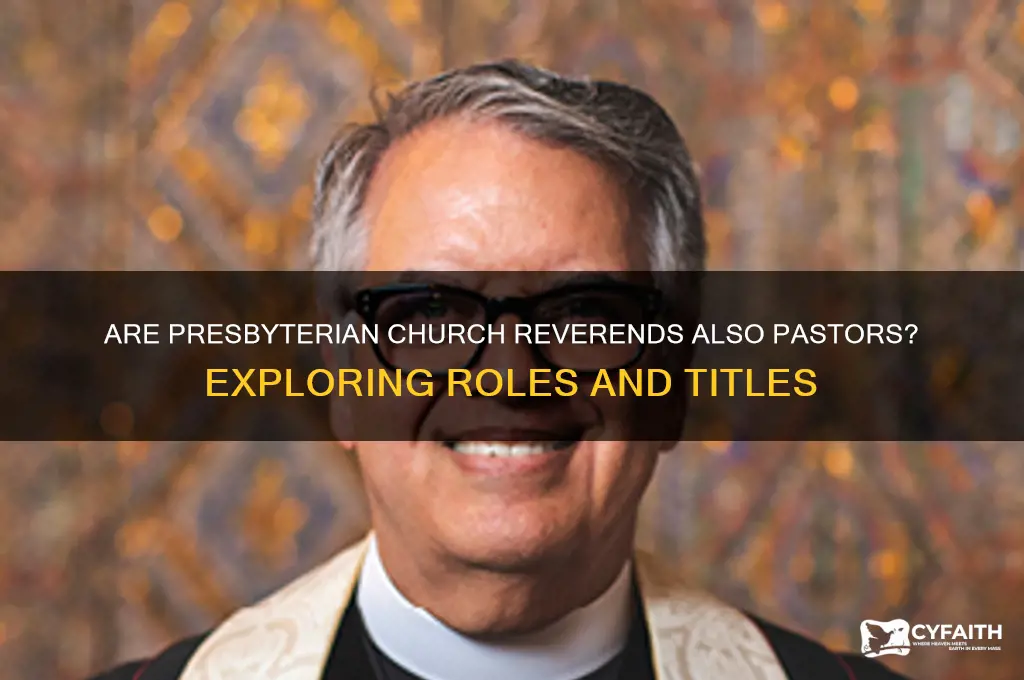 is a reverend of a presbyterian church also a pastor