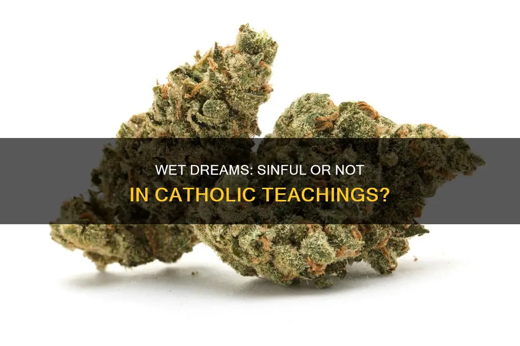 is a wet dream a sin catholic