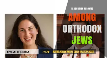 Orthodox Jewish Perspectives on Abortion: Halacha, Ethics, and Modern Dilemmas