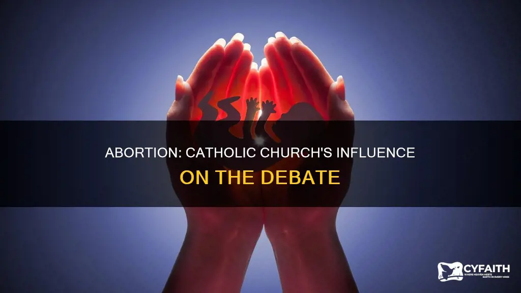is abortion mostly a catholic issue