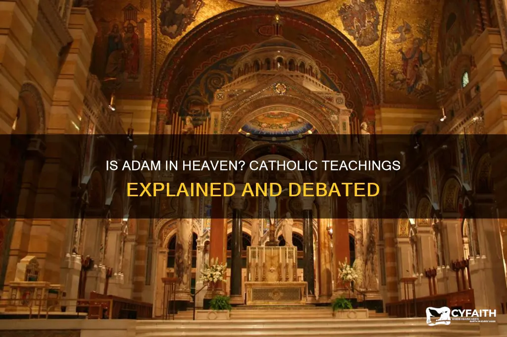 is adam in heaven catholic