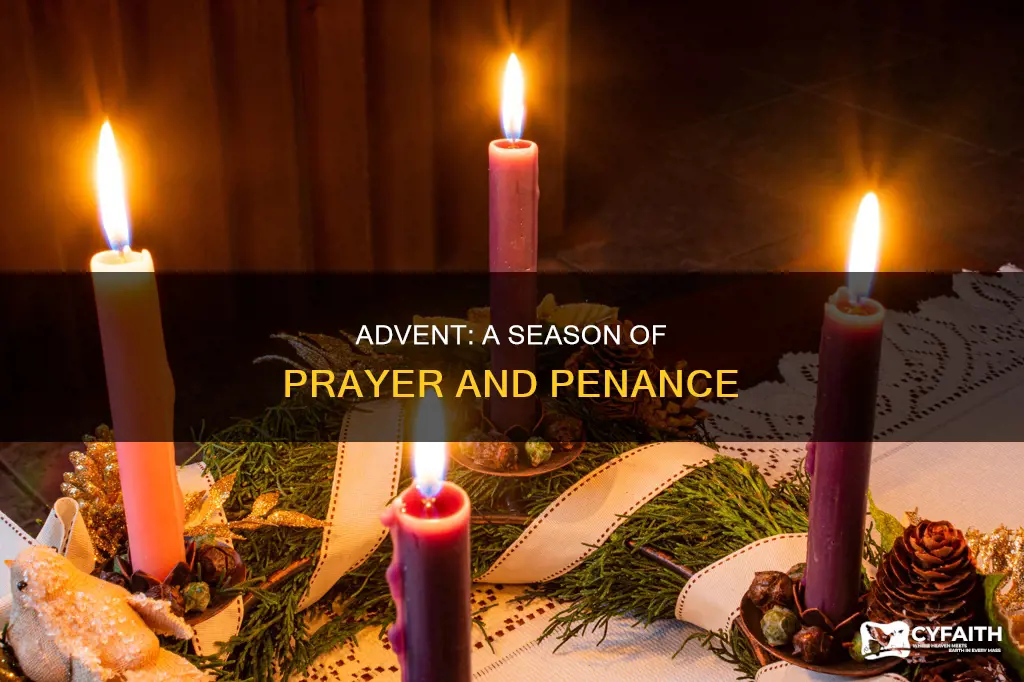 is advent a penitential season catholic