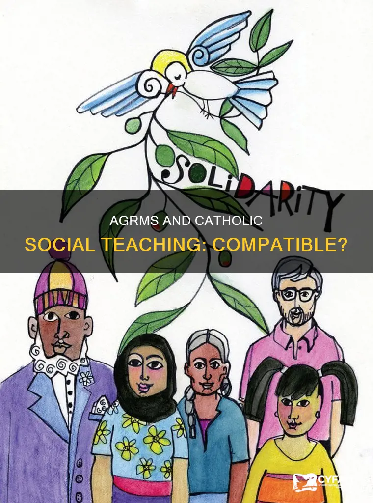 is agrm in accord with catholic social teaching