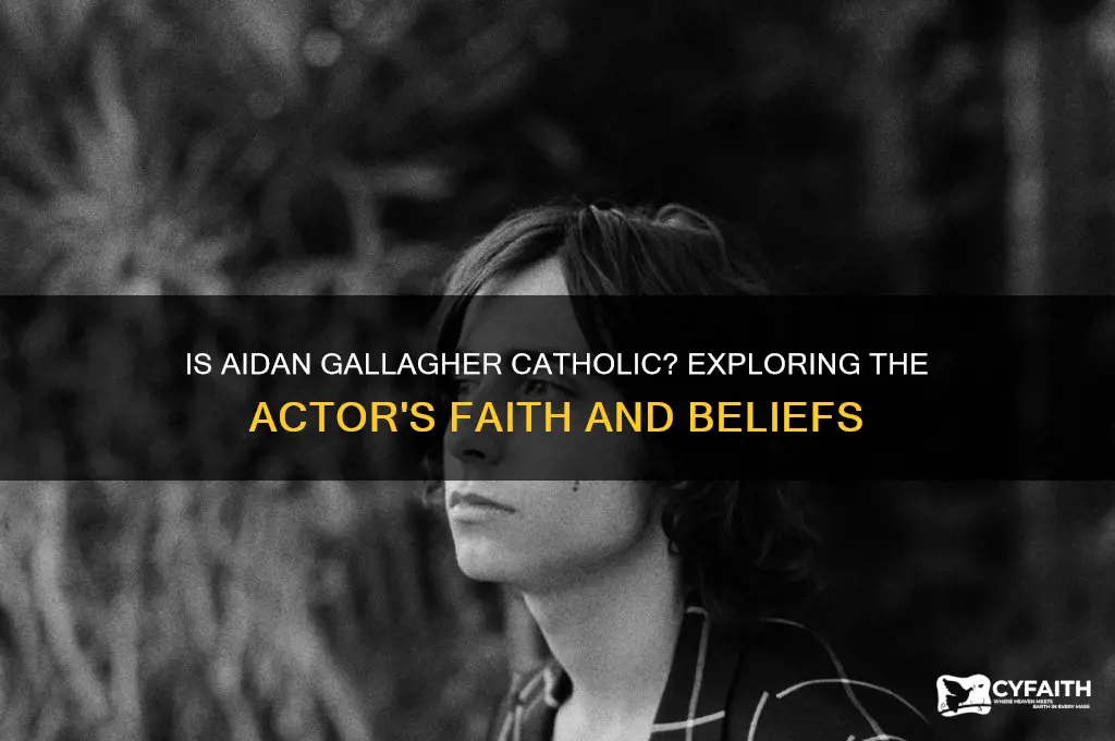 is aidan gallagher catholic
