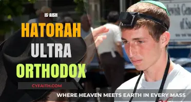 Is Aish HaTorah Ultra-Orthodox? Exploring Its Beliefs and Practices