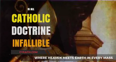 Is All Catholic Doctrine Infallible? Exploring Papal Authority and Limits