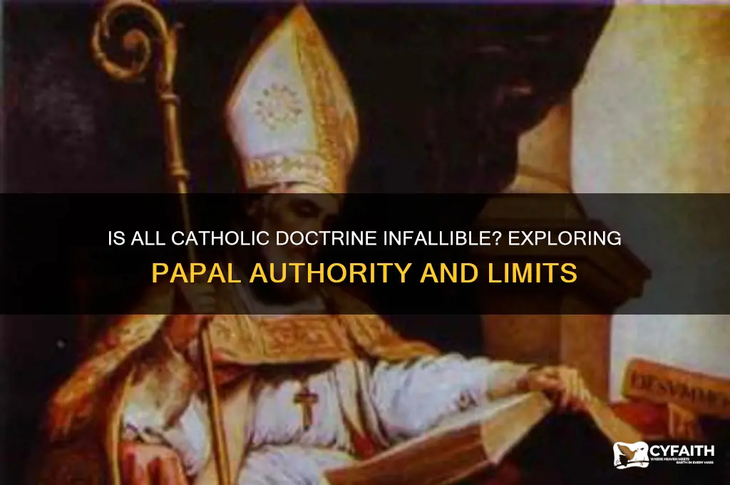 is all catholic doctrine infallible