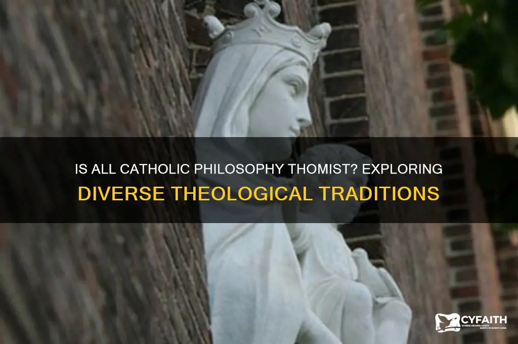 is all catholic philosophy thomist