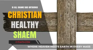 Orthodox Christian Perspective: Navigating Healthy Shame Amidst Unhealthy Shame Culture