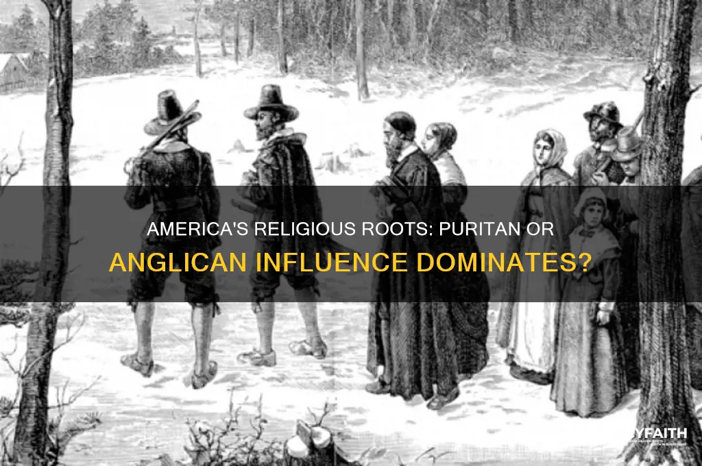 is america puritan or anglican