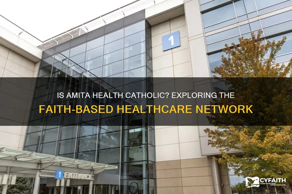 is amita health catholic