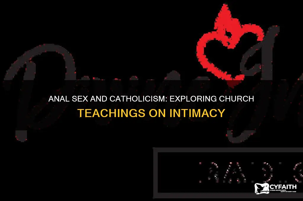 is anal against catholic belief