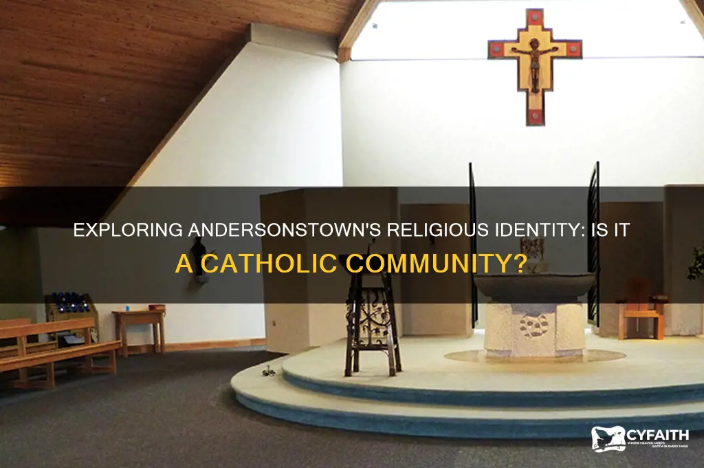 is andersonstown catholic
