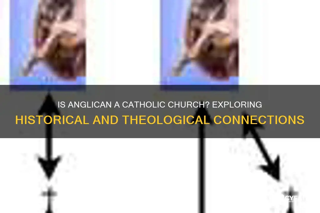 is anglican a catholic church