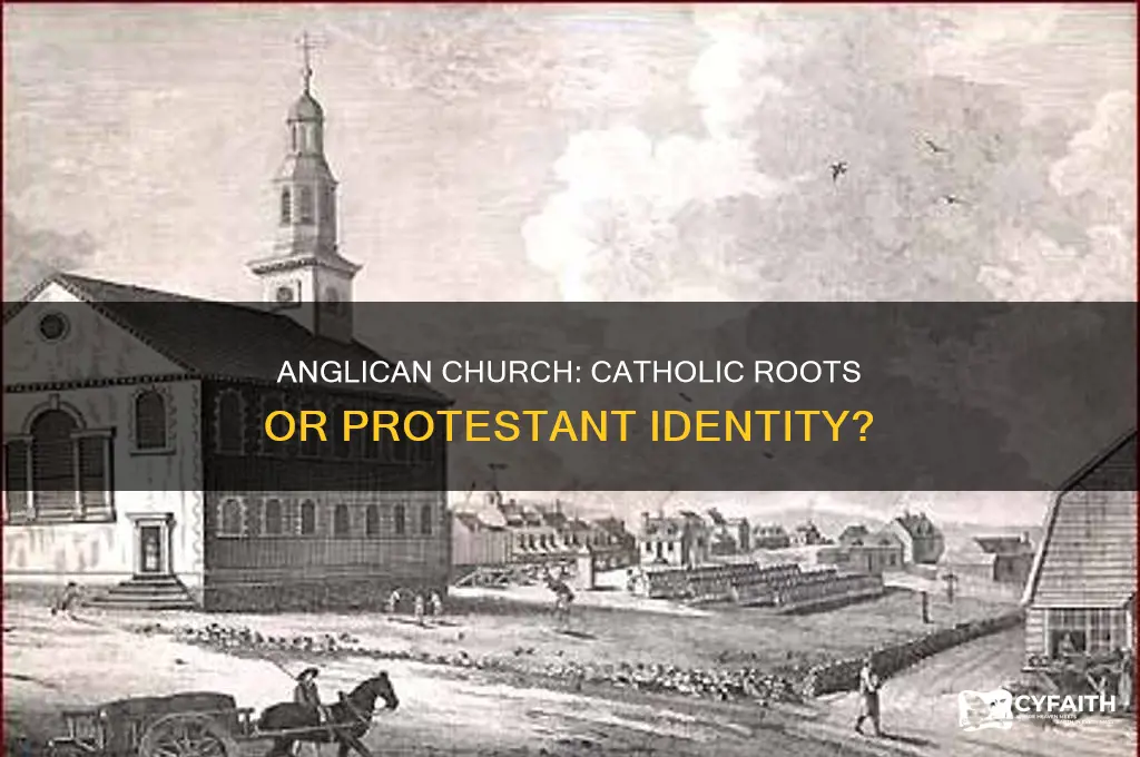 is anglican church catholic or protestant