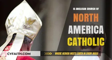 Is the Anglican Church of North America Catholic? Exploring the Connection