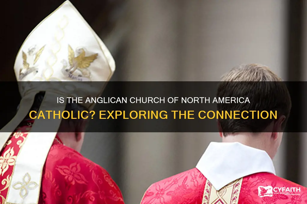 is anglican church of north america catholic