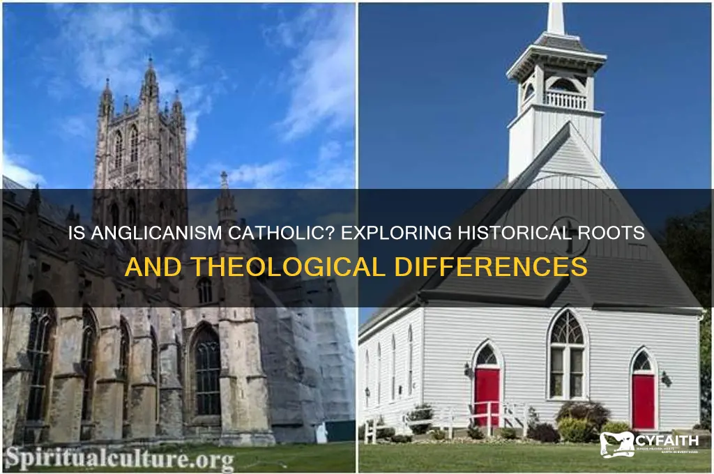 is anglicanism catholic
