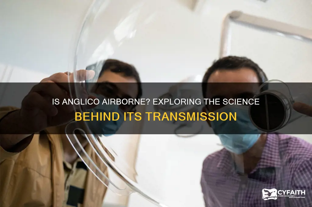is anglico airborne