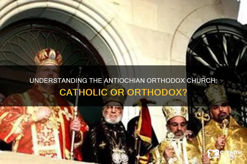 is antiochian orthodox catholic