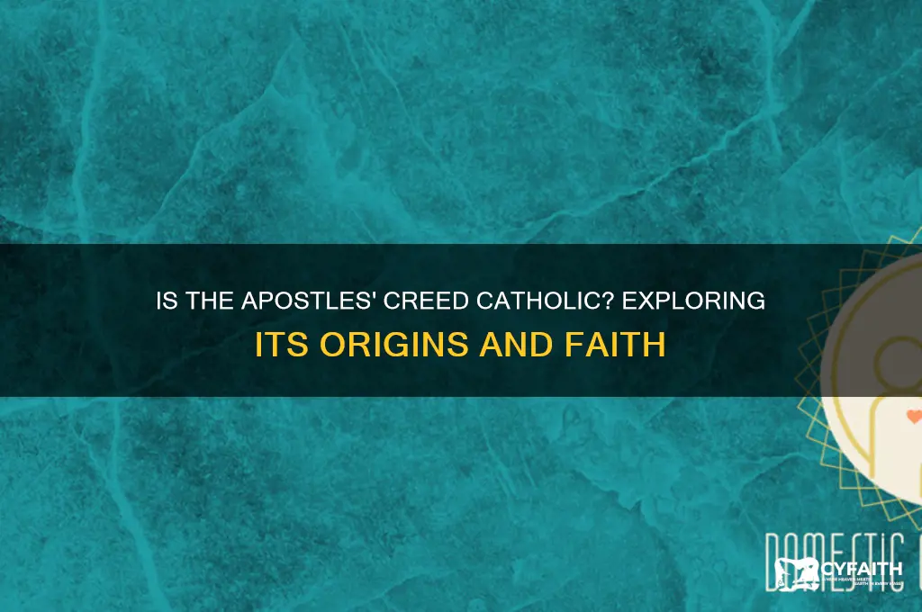 is apostles creed catholic