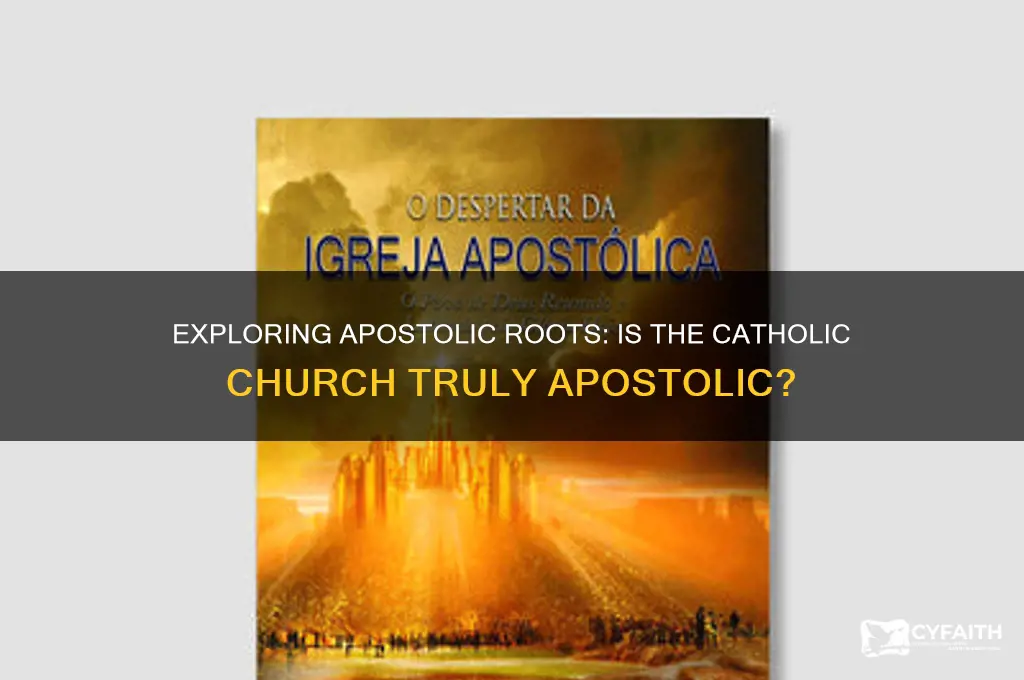 is apostolic catholic