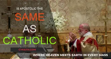 Apostolic and Catholic: What's the Difference?