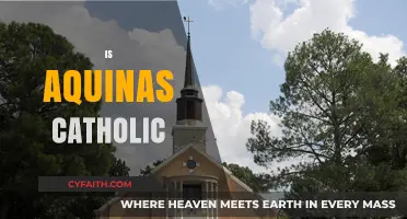 Is Aquinas Catholic? Exploring the Faith of a Medieval Theologian