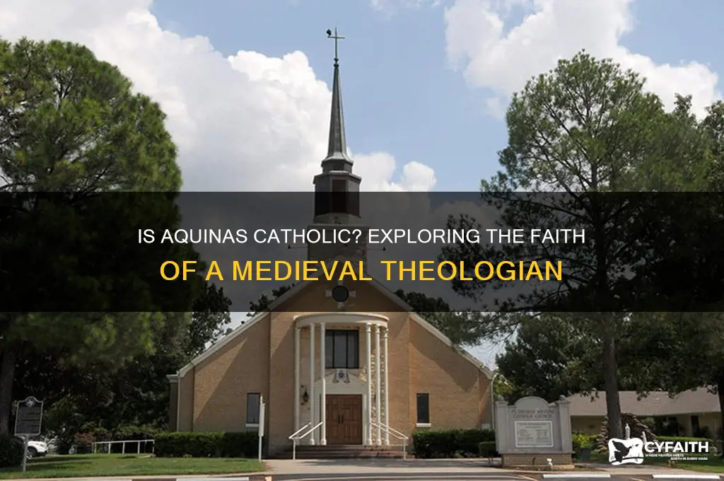 is aquinas catholic