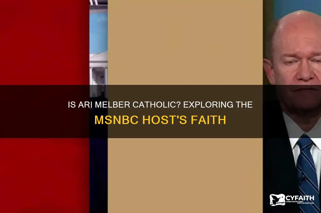 is ari melber catholic