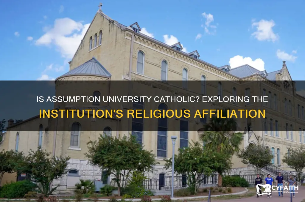 is assumption university catholic