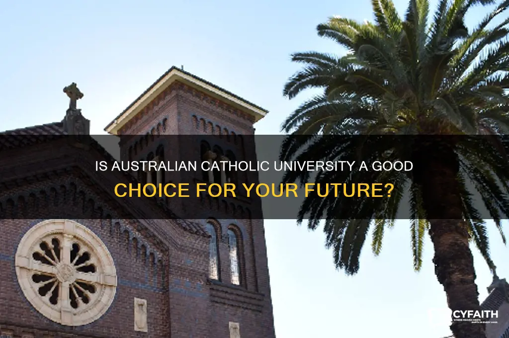 is australian catholic university good