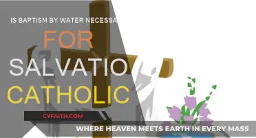 Baptism by Water: Catholic Path to Salvation