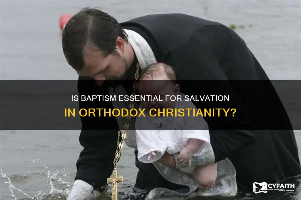 is baptism necessary for salvation orthodox