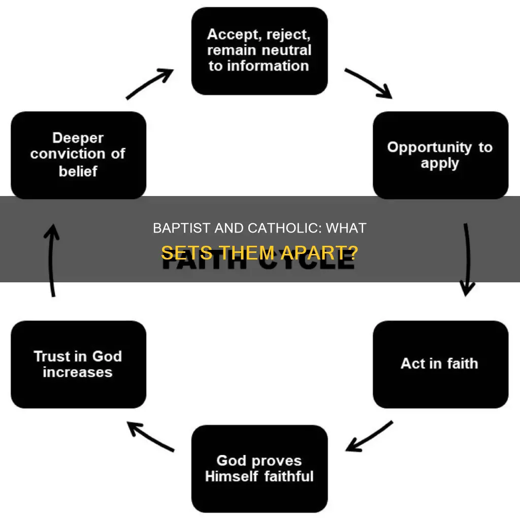 is baptist and catholic the same