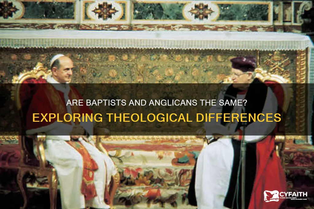is baptist anglican