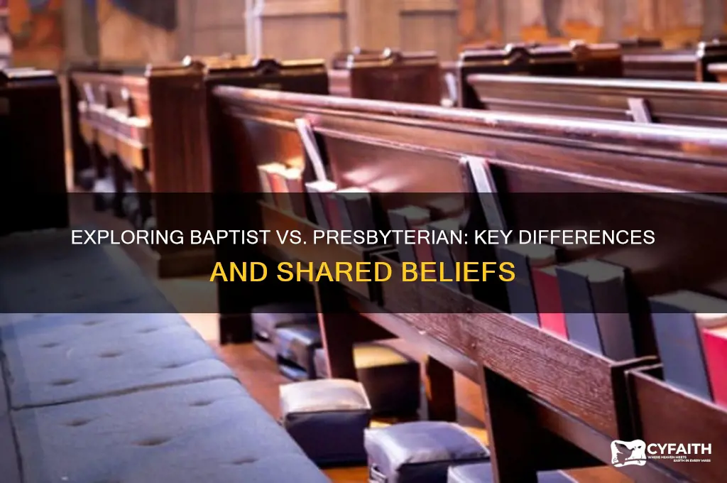 is baptist presbyterian