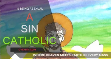 Asexuality: Sin or Catholic Acceptance?