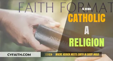 Is Being Catholic a Religion? Exploring Faith, Identity, and Belief