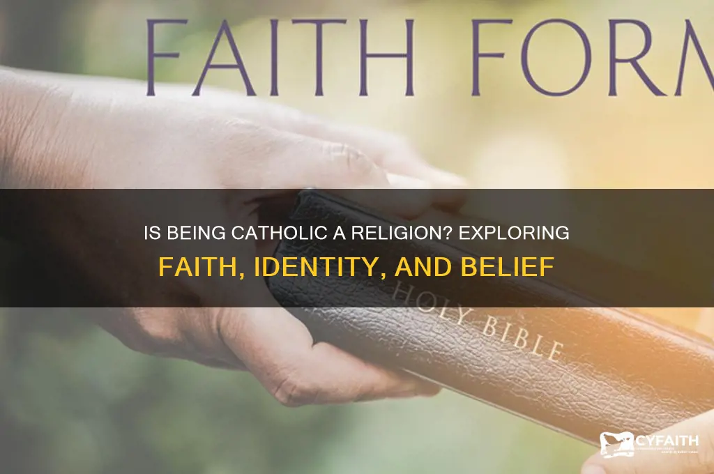 is being catholic a religion